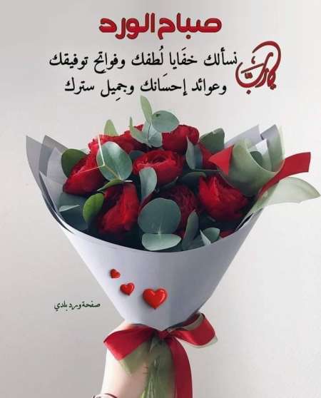 rachid.