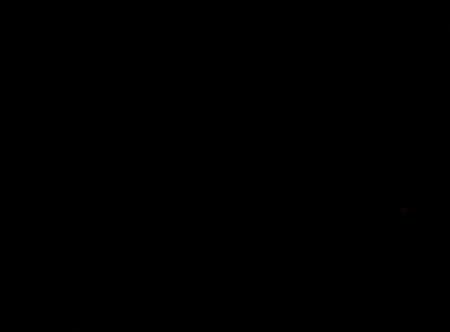 pierre