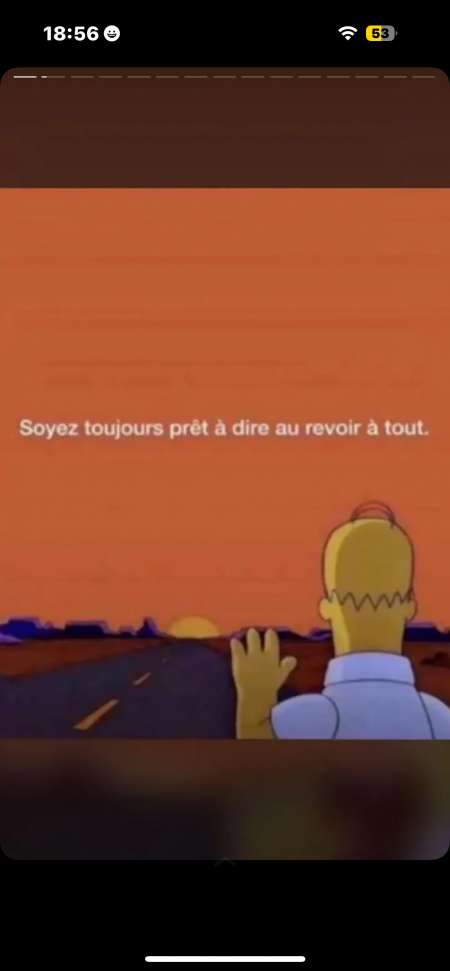 respectueux hom